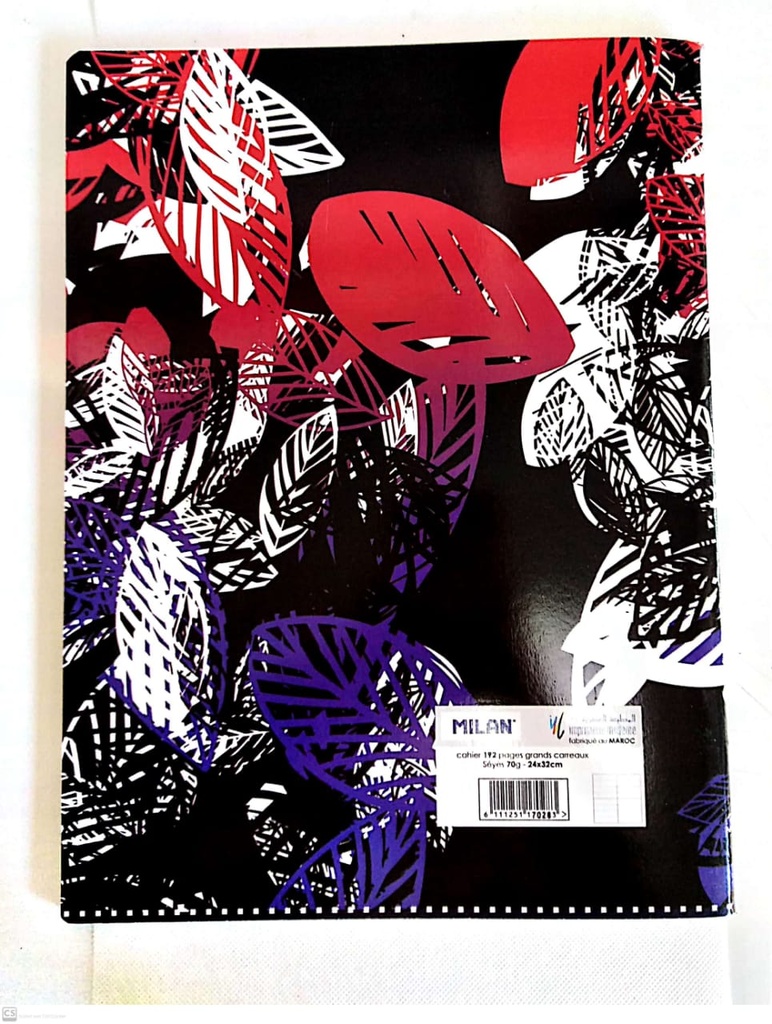 CAHIER 24X32 192P MILAN