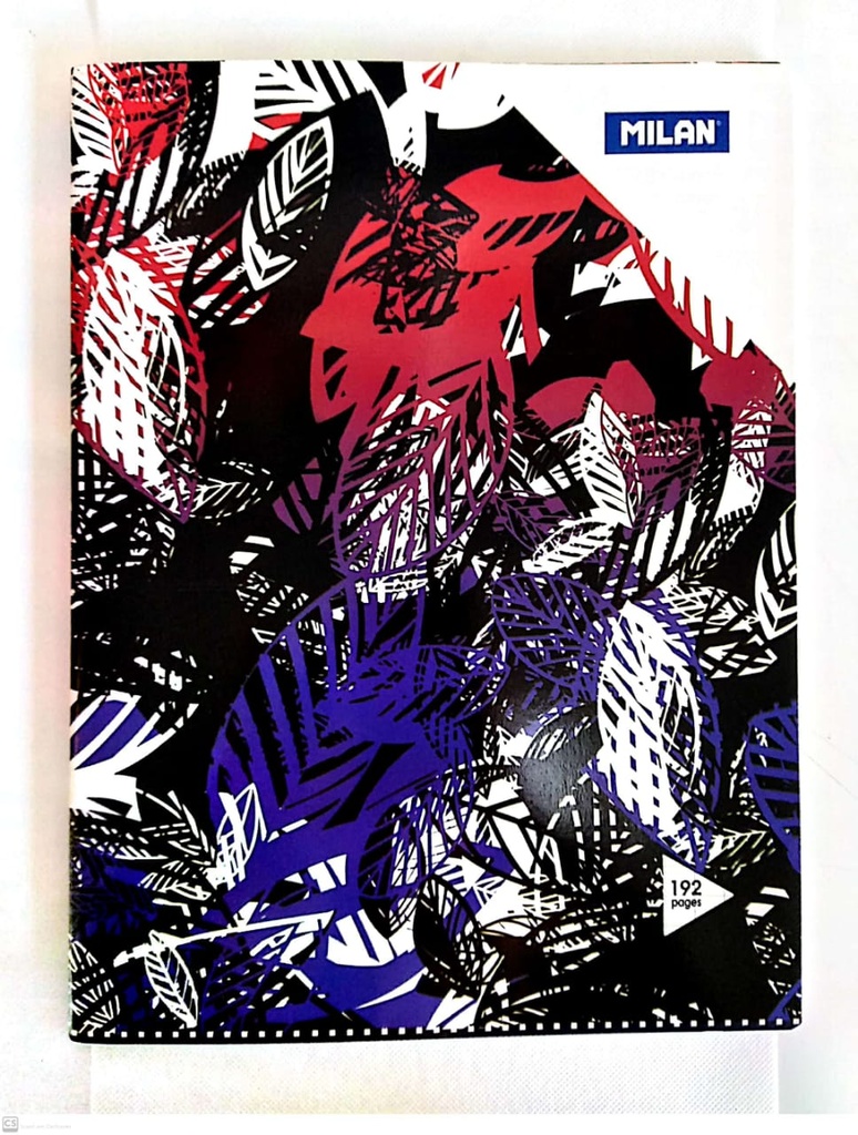 CAHIER 192P 24*32 70G MILAN