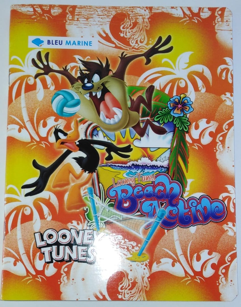 CAHIER 96P PF 60G B.MARINE