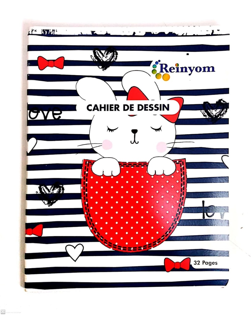 CAHIER DESSIN 17*22 RENIYOM