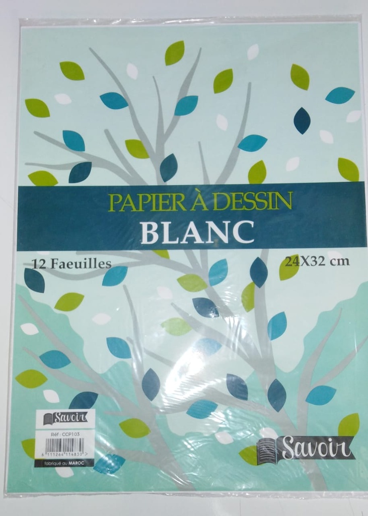 PAPIER DESSIN BLANC SAVOIR 12F 24X32