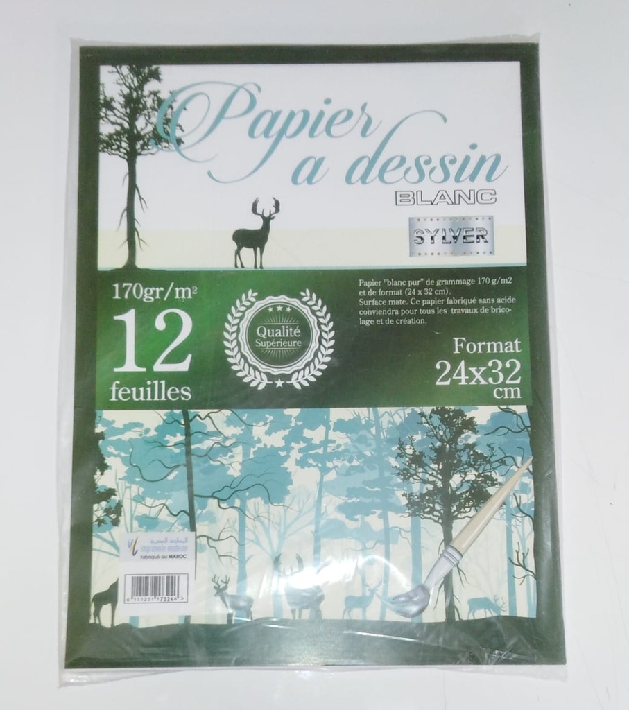PAPIER DESSIN BLANC SYLVER 170G 24X32 12F