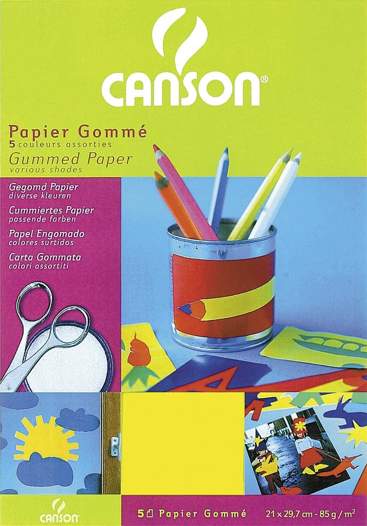 PAPIER GOMME CANSON 5 COULEURS