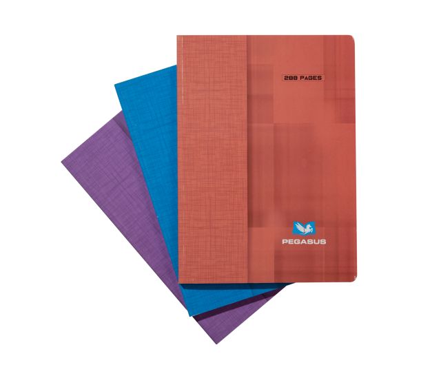 REGISTRE 3M 60G PEGASUS