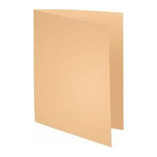 FEUILLE CHEMISE BULL