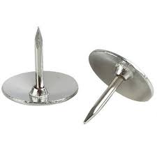 PUNAISES CHROMES EXPRESS