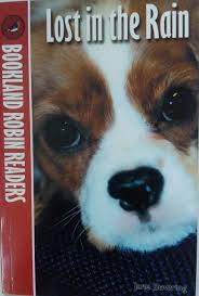 LOST IN RAIN | BOOKLAND