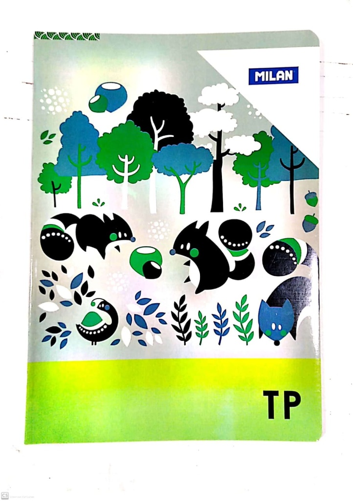 CAHIER TP 192P A4 70G MILAN