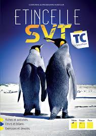 ETINCELLE SVT TC SCIENTIFIQUE - CAHIER D'ACTIVITES