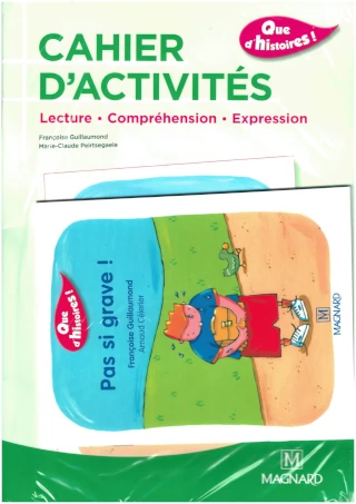 PAS SI GRAVE - CAHIER D'ACTIVITES 