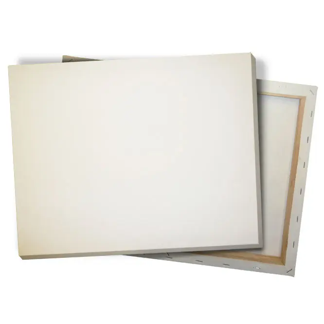 CANEVAS DESSIN TOILE TOP SAM 30*50