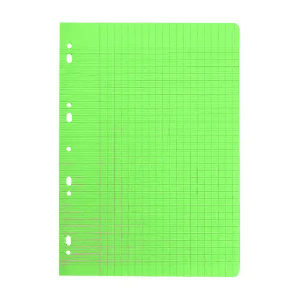 FEUILLES DOUBLE VERTES REINYOM 80P 