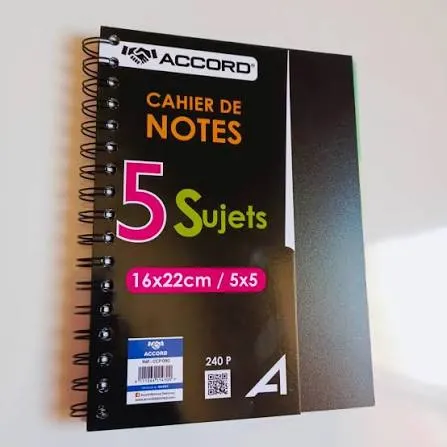 CAHIER 5 SUJETS 240P A4 5x5 ACCORD