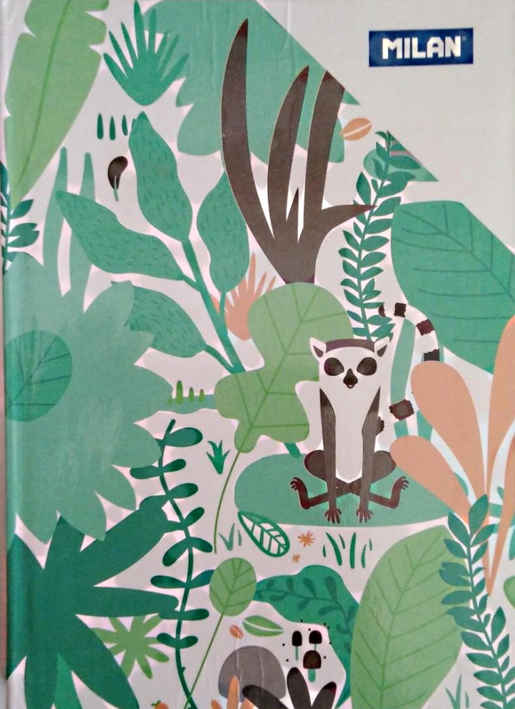 AGENDA SCOLAIRE 12.5X17 MILAN