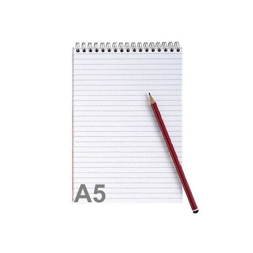 BLOC STENO A5 RAYE