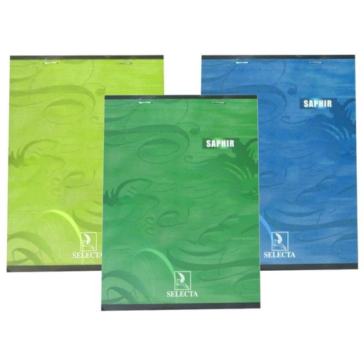 CARNET A5 100P SAFIR