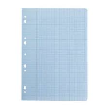 FEUILLES DOUBLE BLEUES ESSENTIEL 80P