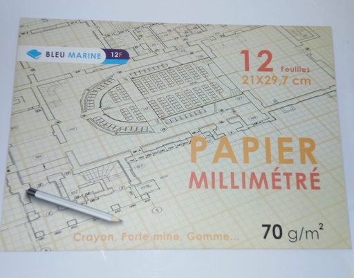 PAQUET PAPIER MILLIMETRE 12F A4 BLEU MARINE