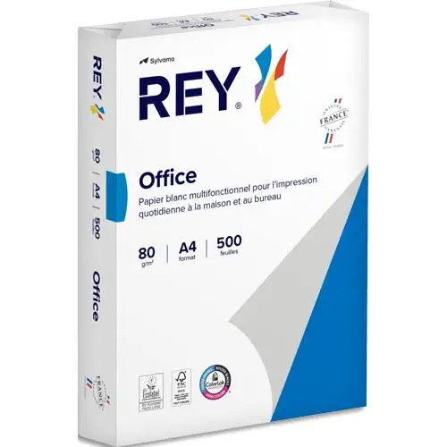 RAMETTE PAPIER A4 80G REY